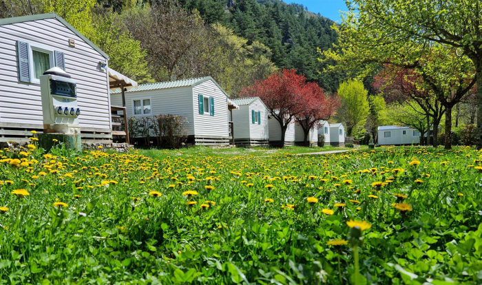 Camping - Meyrueis - Languedoc-Roussillon - Le Capelan - Image #0