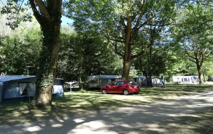 Camping - Barjac - Languedoc-Roussillon - Le Clos des Peupliers