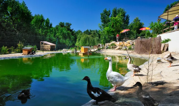 Camping - Valras-Plage - Languedoc-Roussillon - Le Domaine de la Yole