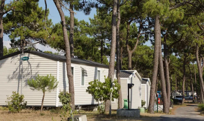 Camping - La Barre-de-Monts - Pays de Loire - Le Grand Corseau