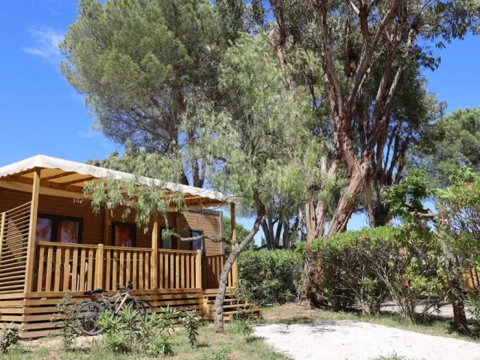 Camping - La Crau - Provence-Alpes-Côte d'Azur - Le Hameau des Pins - La moutonne