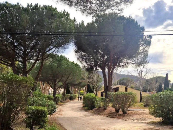 Camping - La Crau - Provence-Alpes-Côte d'Azur - Le Hameau des Pins - La moutonne