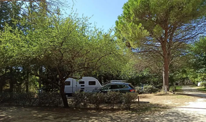 Camping - Cucuron - Provence-Alpes-Côte d'Azur - Le Moulin à Vent