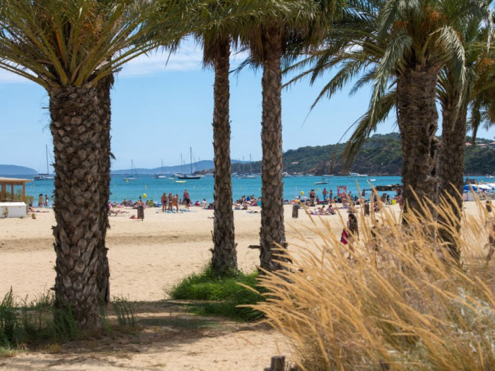 Camping - Bormes-les-Mimosas - Provence-Alpes-Côte d'Azur - Le Parc de Bormes - Image #4