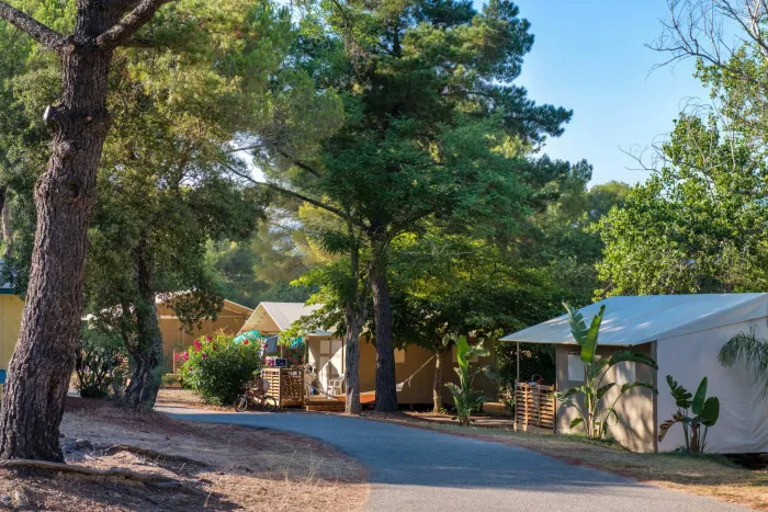 Camping - Bormes-les-Mimosas - Provence-Alpes-Côte d'Azur - Le Parc de Bormes
