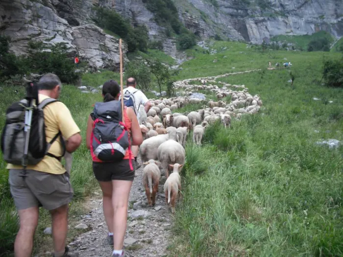 Camping - Sixt-Fer-à-Cheval - Rhône-Alpes - Le Pelly