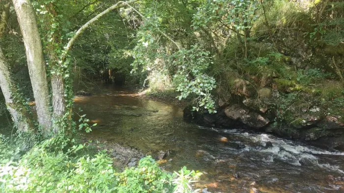 Camping - Laguenne - Limousin - Le Pre Du Moulin