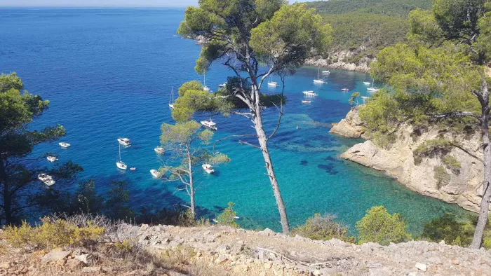 Camping - Six Fours les Plages - Provence-Alpes-Côte d'Azur - Le Rayolet