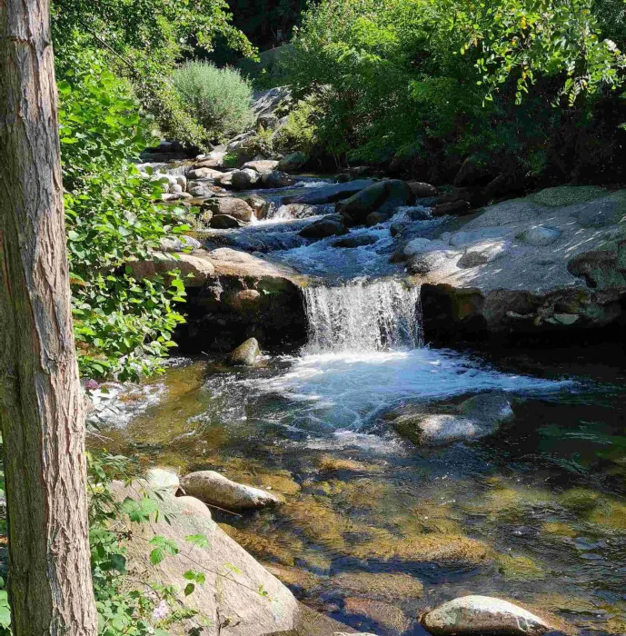 Camping Arles-sur-Tech - 2 - campings