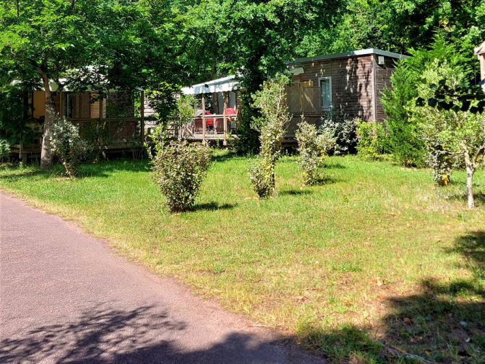 Saint-Pierre-d'Oléron - 15 - campings