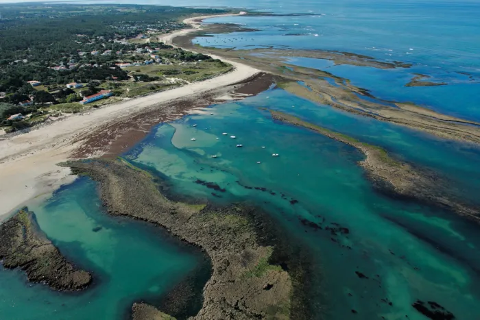 Camping - Saint-Georges-d'Oléron - Poitou-Charentes - Les Cabanes d'Oléron