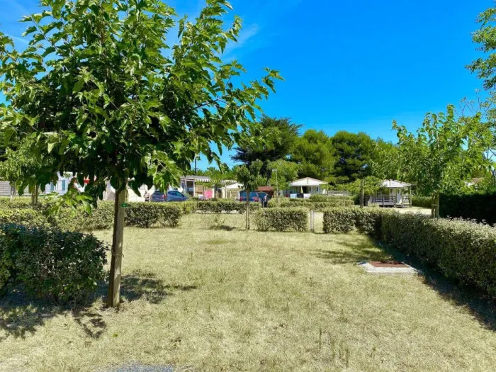 Camping - Saint-Georges-d'Oléron - Poitou-Charentes - Les Coquettes