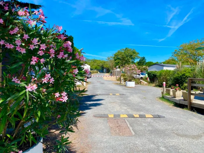 Camping - Saint-Georges-d'Oléron - Poitou-Charentes - Les Coquettes