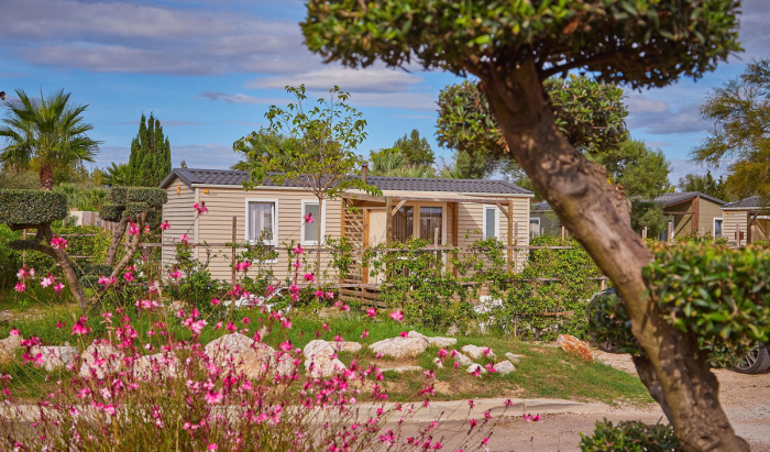 Camping - Torreilles - Languedoc-Rosellón - Camping Les Dunes - Image #23