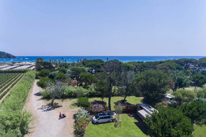 Camping - Ramatuelle - Provence-Alpes-Côte d'Azur - Les Eucalyptus