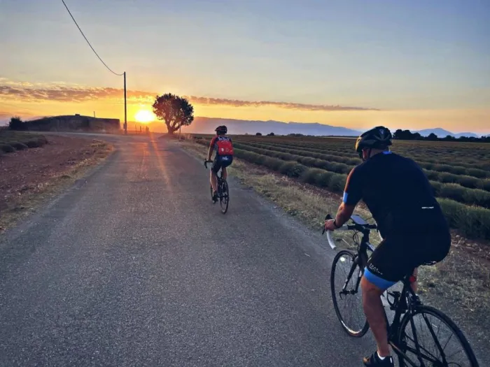 Camping - Valensole - Provence-Alpes-Côte d'Azur - Les Lavandes