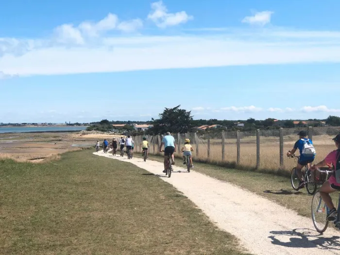 Camping - Saint-Martin-de-Ré - Poitou-Charentes - Les Maraises