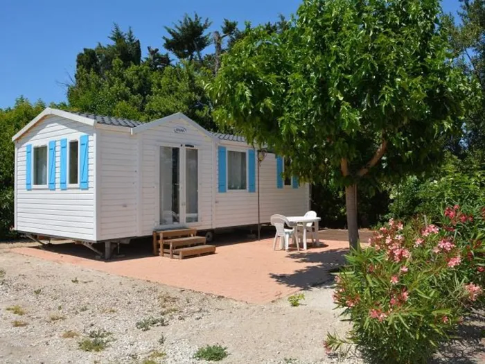 Camping - Graveson - Provence-Alpes-Côte d'Azur - Les Micocouliers