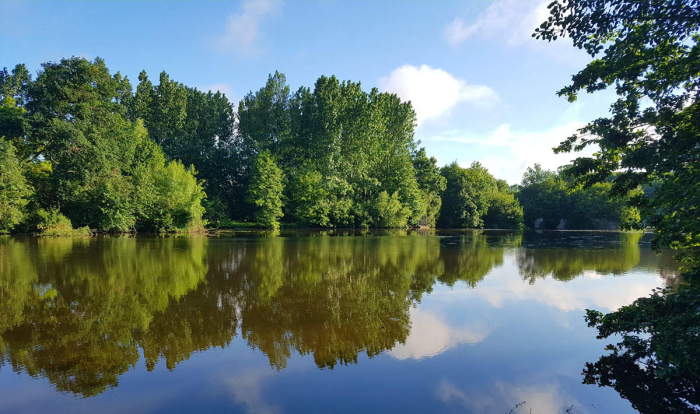 Camping - Montreuil-Bellay - Pays de Loire - Les Nobis d'Anjou - Image #8