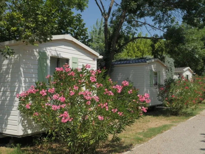 Camping - Ruoms - Rhône-Alpes - Les Paillotes
