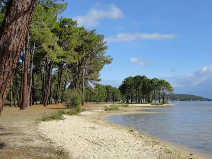 Camping - Biscarrosse - Aquitaine - Les Petits Ecureuils