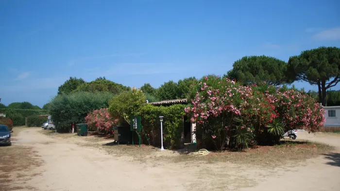 Camping - Ramatuelle - Provence-Alpes-Côte d'Azur - Les Pins Pitchouns