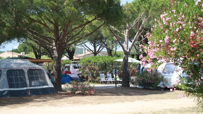 Camping - Ramatuelle - Provence-Alpes-Côte d'Azur - Les Pins Pitchouns