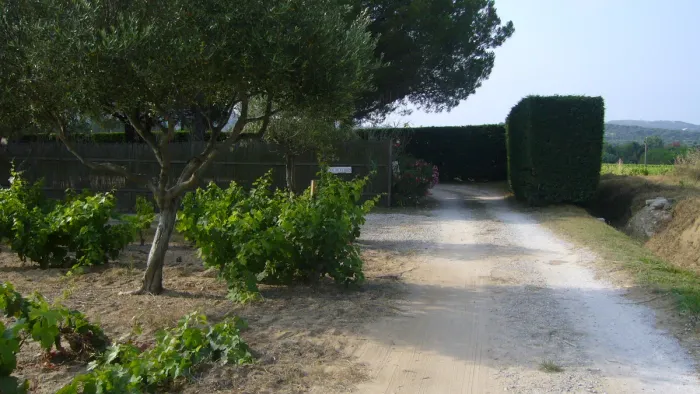Camping - Ramatuelle - Provence-Alpes-Côte d'Azur - Les Pins Pitchouns
