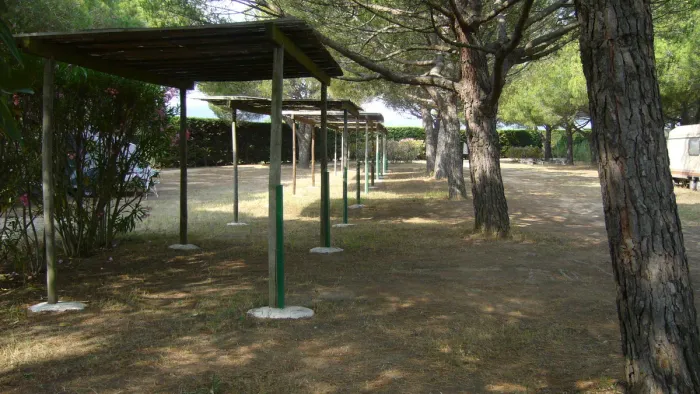 Camping - Ramatuelle - Provence-Alpes-Côte d'Azur - Les Pins Pitchouns