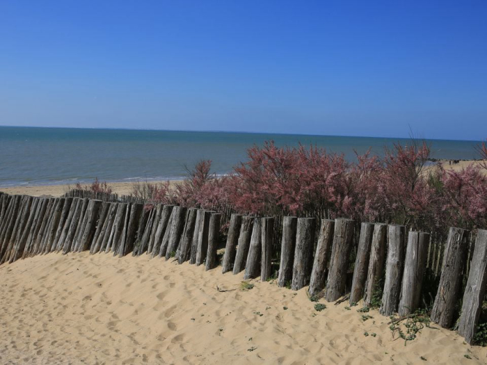 Camping - La Tranche-sur-Mer - Pays de Loire - Les Préveils - Image #6