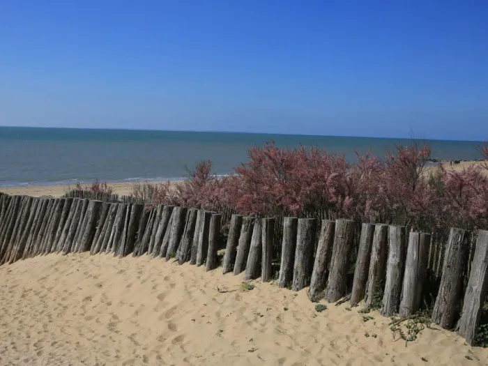 Camping - La Tranche-sur-Mer - Pays de Loire - Les Préveils