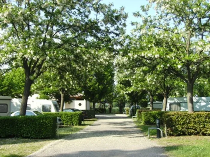 Camping - Gignac - Languedoc-Roussillon - Les Rives de l'Hérault