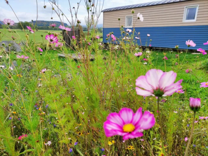 Camping Les roulottes de Montcheneix - Rochefort-Montagne