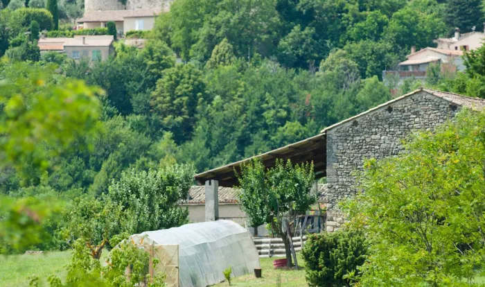 Camping - Forcalquier - Provence-Alpes-Côte d'Azur - Les Routes de Provence