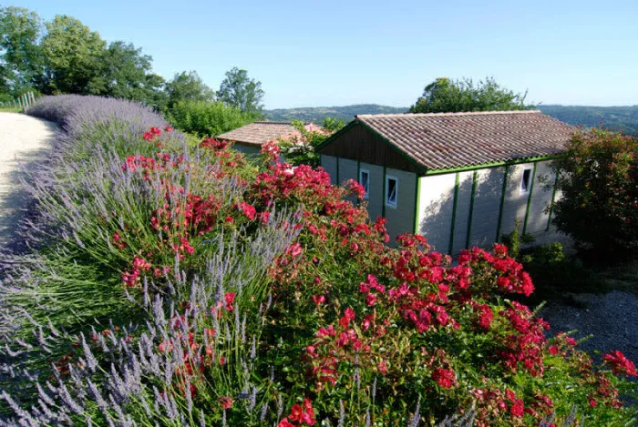 Camping - Proissans - Aquitaine - Les Terrasses Du Perigord