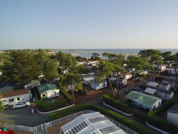 Camping - La Faute-sur-Mer - Pays de Loire - Les Violettes