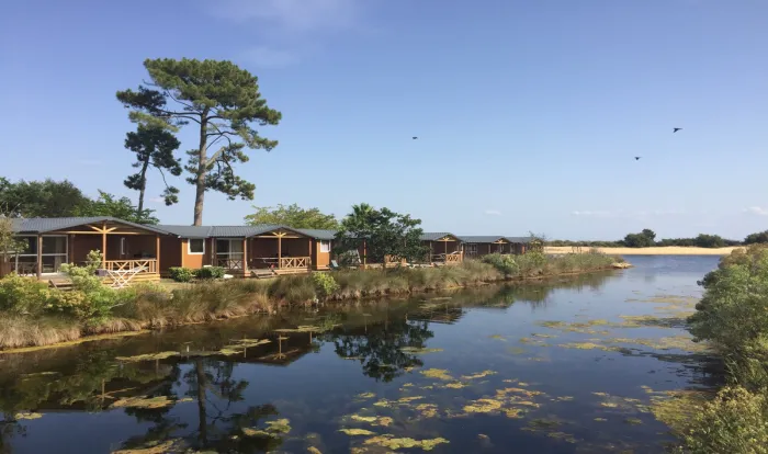 Camping - Lège Cap Ferret - Aquitaine - Les Viviers