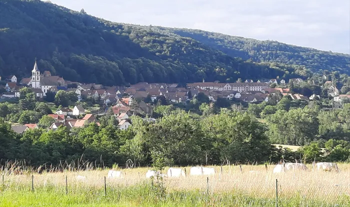 Camping - Oberbronn - Alsace - Les Vosges du Nord