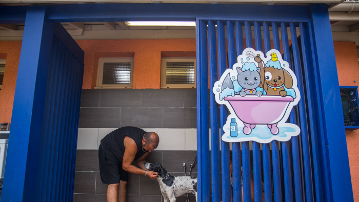 Camping - Messanges - Aquitaine - Lou Pignada - Image #7