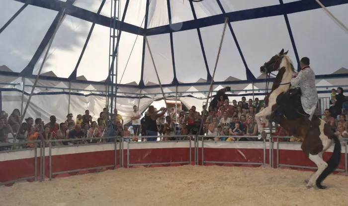 Camping - Vitrolles - Provence-Alpes-Côte d'Azur - Marina Plage