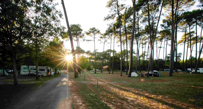 Camping - Mimizan - Aquitaine - Mimizan Lac - Image #8
