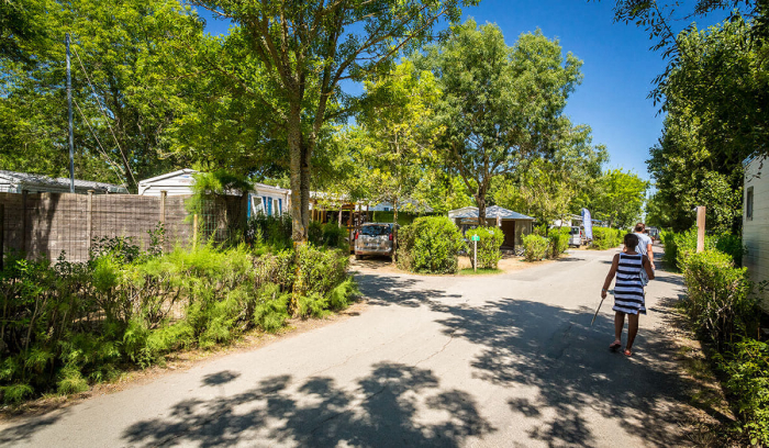 Camping - Saint-Georges-d'Oléron - Poitou-Charentes - Oléron Loisirs - Image #18