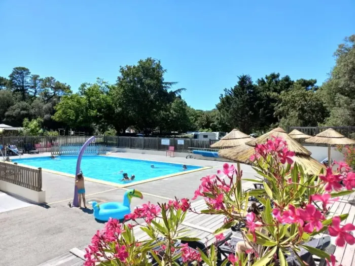 Camping - Jard-sur-Mer - Pays de Loire - Parfums d'été