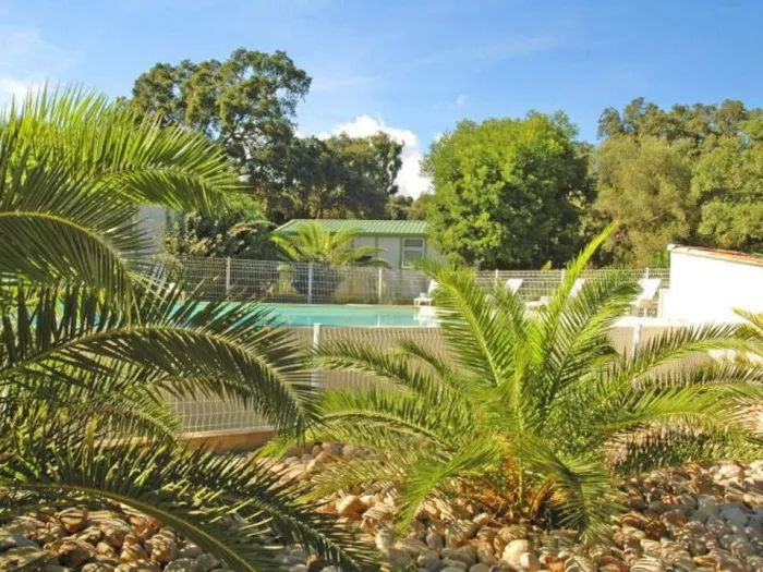 Camping - Porto-Vecchio - Corse - Pezza Cardo