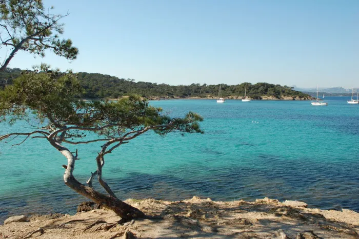 Camping - Giens - Provence-Alpes-Côte d'Azur - Salines