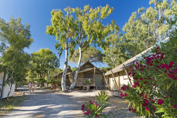 Camping - Saint-Raphaël - Provence-Alpes-Côte d'Azur - Santa Lucia