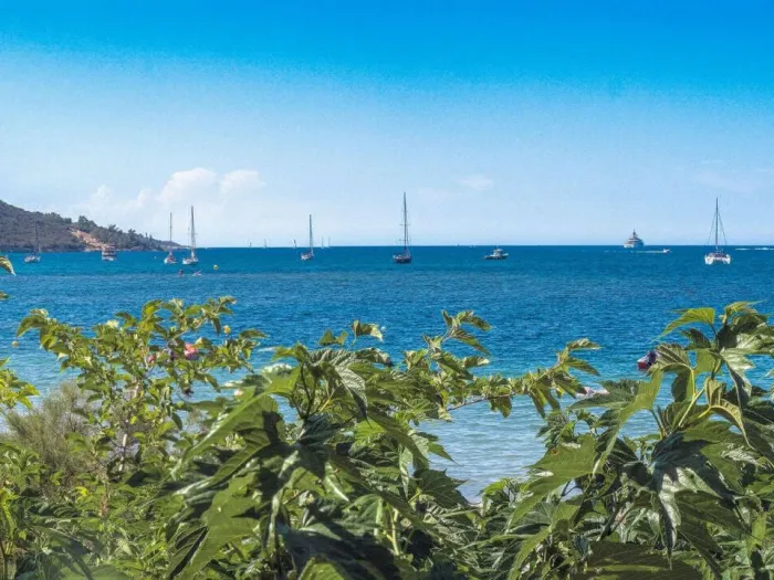 Camping - Saint-Florent - Corse - U Pezzo