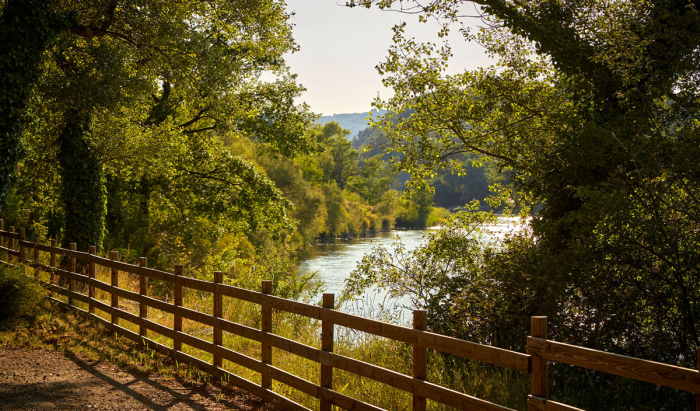 Camping - Gréoux-les-Bains - Provence-Alpes-Côte d'Azur - Verdon Parc - Image #28