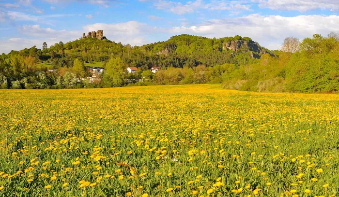 Camping - Gerolstein - Rhénanie-Palatinat - Waldferienpark Gerolstein