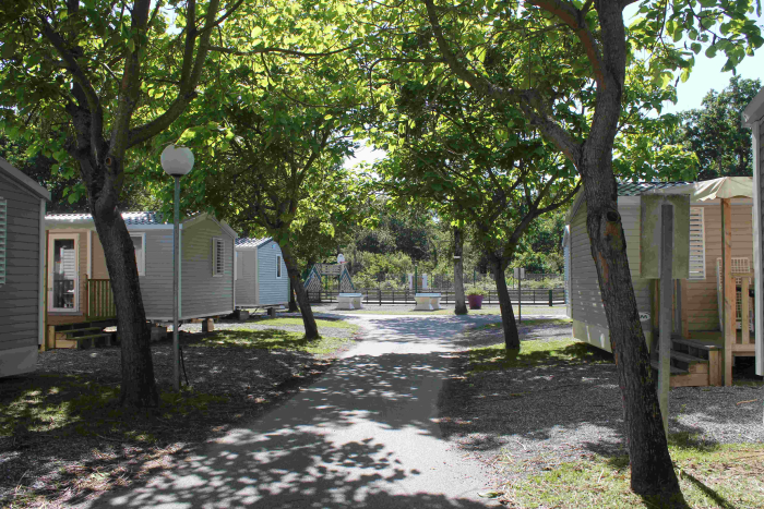 Camping - Capbreton - Aquitaine - La Pointe - Image #4